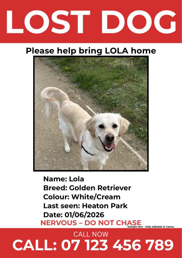 Lost dog poster printable template